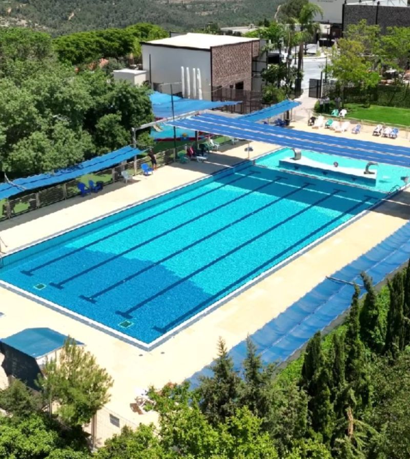 שורש ירוק בהר